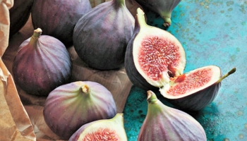 Fig of Provence